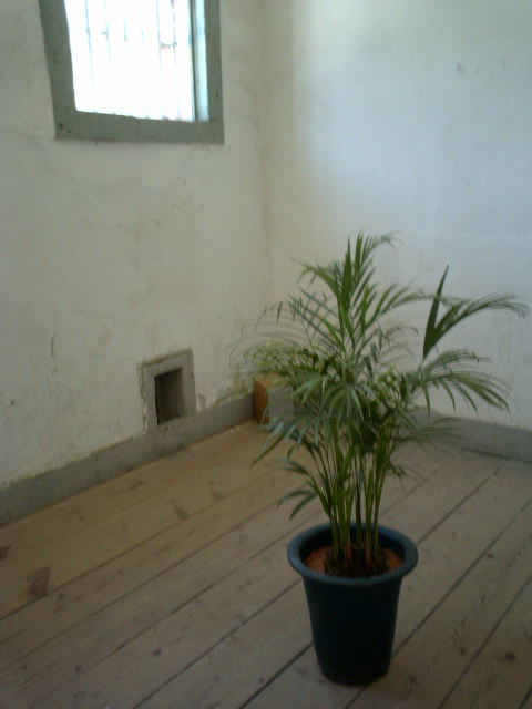 cecilele prado Lantre Rive.jpg